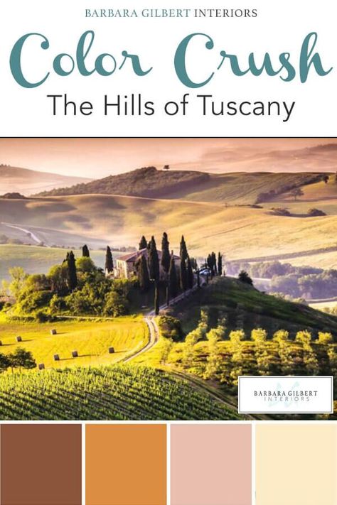 The Hills of Tuscany inspire this color palette.They are earthy, creating a beautiful combination that would work well in most spaces, from living room to board room.  #BarbaraGilbertInteriors #ColorInspiration #HillsOfTuscany #ColorCrush #InteriorDesign Tuscany Color Palette, Tuscan Color Palette, Tuscany Vineyard, Tuscan Colors, Color Palette Interior Design, Vineyard House, Stealing Beauty, 21 Diner, Paint Palettes