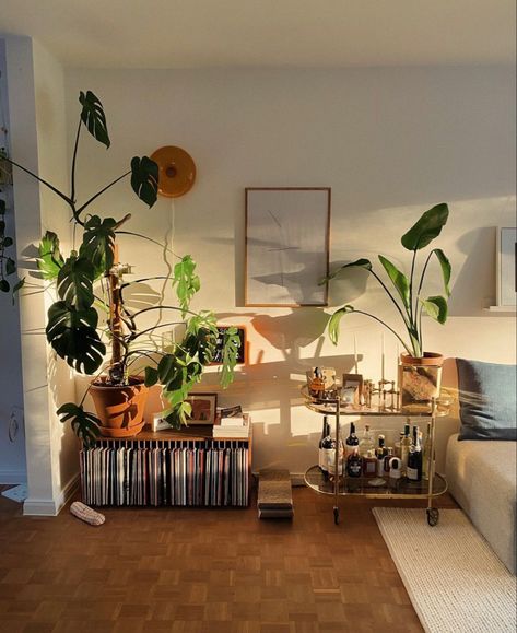 Lots Of Plants, Apartment Aesthetic, Aesthetic Rooms, Apartment Decor Inspiration, Apartment Inspiration, A Living Room, Dream House Decor, Aesthetic Room Decor, My New Room