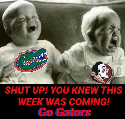 Florida Gator Memes, Florida Gators Quotes, Florida Gators Football, Helmet Concept, Gators Football, Florida Gator, Football Memes, University Of Florida, Florida Gators