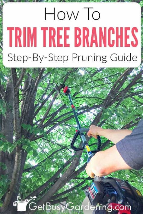 Do your trees have dead or damaged branches? Are the limbs bending off in unwanted directions? Learn how to properly the branches yourself without damaging the tree, or leaving it at risk for disease. Find out when the best time is to cut those problematic branches off the tree so that it grows bushy, and healthy in the direction that you want. Pick up plenty of tips for good tree trimming practices, the right tools, and how to tackle the larger projects without calling in an expensive service. Pruning Roses, Tree Pruning, Tree Trimming, Tree Care, Landscaping Tips, Garden Care, Flowers Garden, Tips And Advice, Gardening For Beginners