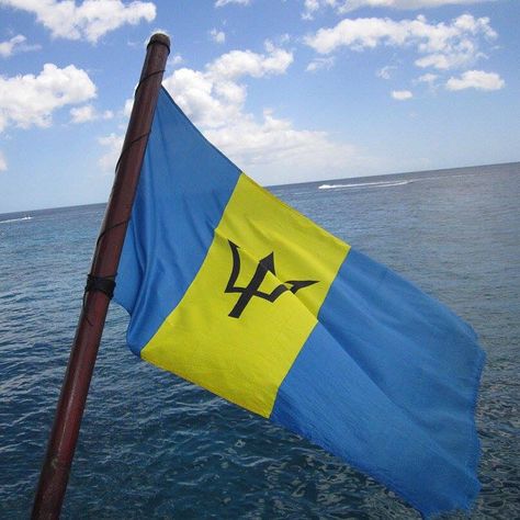 Barbados Flag Caribbean Flags, Barbados Flag, Puerto Rican Pride, Moving To The Uk, Bridgetown, Flags Of The World, Puerto Rican, Barbados, Country Flags