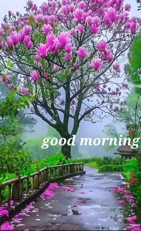 Good Morning With Flowers, Happy Monday Good Morning, Monday Good Morning Wishes, Monday Good Morning, Good Morning Wish, Good Morning Gif Images, Good Morning Monday Images, Beautiful Good Morning Wishes, New Good Morning