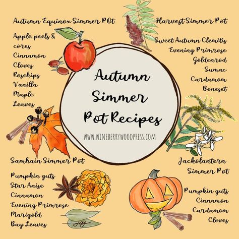 Autumn simmer pot recipes. Make your home smell like fall. #simmerpot #falldecor Autumn Simmer Pot, Home Smell Like Fall, New Years Eve Pictures, Smell Like Fall, Simmer Pots, Pumpkin Guts, Leaf Lantern, Simmer Pot Recipes, Autumn Clematis