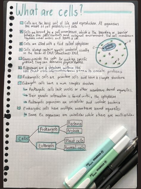 Cell Study Notes, Cells Notes Aesthetic, Science Cells Notes, Cell Notes Aesthetic, Doctor Study Notes, Cells Science, Simple Biology Notes, Cells Notes Biology, Bio Notes Aesthetic