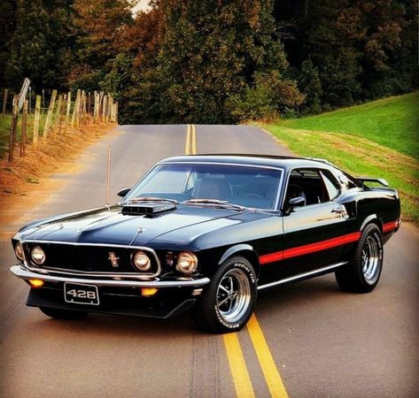 '69 Mustang - 428 Cobra Jet Ford Mustang 1969, Muscle Cars Mustang, 1969 Ford Mustang, Mustang Mach 1, Ford Mustang Shelby Gt500, Ford Mustang Fastback, Luxury Car Dealership, Mustang Cobra, Classic Mustang