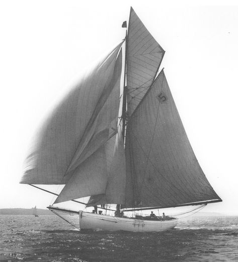 Tally Ho in 1927, running downwind with spinnaker during the fastnet race in Solent, UK. How To Build Abs, Us Naval Academy, Patina Art, Make A Boat, Classic Sailing, Build Your Own Boat, Chipped Paint, Tally Ho, Franklin D Roosevelt