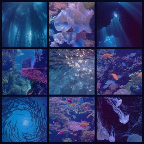 Ocean Moodboard, Fish Aesthetic, Fish Fashion, Adopt Idea, Mood Board Inspiration, Mood Board Design, Aesthetic Images, Aesthetic Collage, Art Block