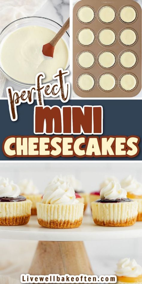 These easy mini cheesecakes from Live Well Bake Often feature a homemade graham cracker crust with a creamy cheesecake filling. Plus several different topping options to use too! These are the perfect desserts that are sure to please everyone! Try these delicious mini cheesecakes today! Easy Mini Cheesecakes, Homemade Graham Cracker, Live Well Bake Often, Mini Cheesecake Bites, Mini Cheesecakes Easy, Individual Cheesecakes, Cheesecake Bites Recipe, Homemade Graham Cracker Crust, Mini Pecan Pies