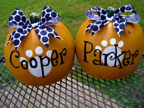 Puppy pumpkins Bear Pumpkin, Creative Pumpkin Painting, Dog Pumpkin, Pumpkin Contest, Pumpkin Spider, Creative Pumpkins, Pumpkin Pumpkin, Pumpkin Ideas, Pumpkin Painting