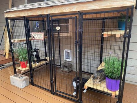 30+ DIY Catio Ideas That Are Totally Pawsome | HubPages Indoor Catio Cats, Garden Cat House, Diy Cat Cage Indoor, Cat Cages Outdoor, Cat Cage Ideas, Cat Hotel Ideas, Cat Enclosure Ideas, Cat Cage Diy, Diy Catios For Cats