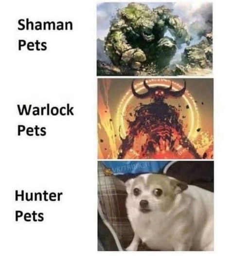 World Of Warcraft Funny, Warcraft Funny, Wow Meme, Dungeons And Dragons Memes, For The Horde, Dnd Funny, Dragon Memes, Dnd Memes, Dragon Images