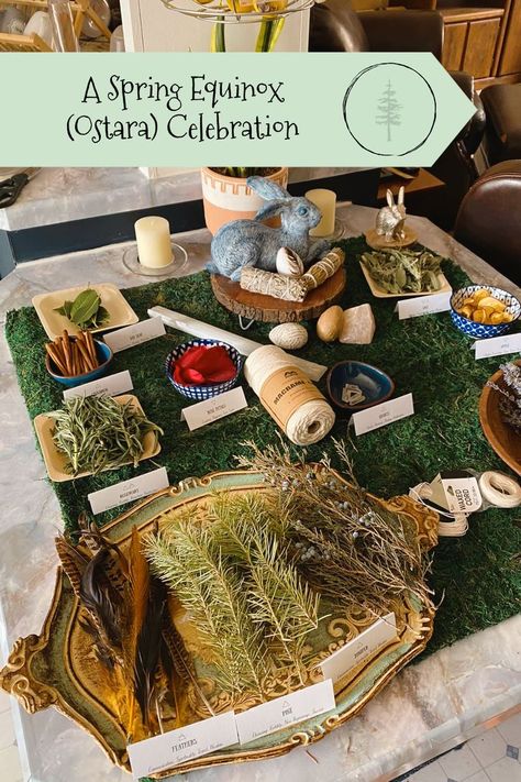 Last Sunday marked the Spring Equinox, also known as Ostara and to celebrate we joined together for some seasonal crafts! Spring Equinox Altar, Ostara Activities, Spring Equinox Activities, Ostara 2024, Spring Equinox Party, Spring Equinox Aesthetic, Ostara Decor, Ostara Decorations, Spring Equinox Crafts