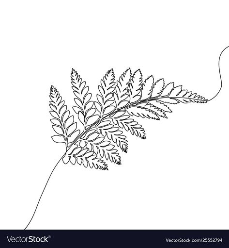 Line Drawing Mural, Illustrative Flowers, Fern Photography, One Line Tattoo, Fern Tattoo, May Designs, Continuous Line Drawing, Box Braids Styling, One Line Drawing