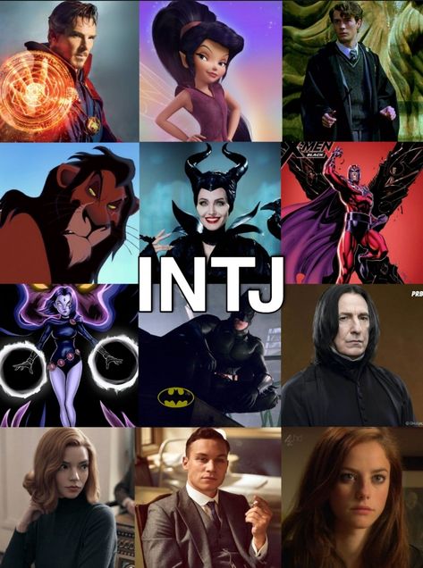 #INTJ #marvel #DC #harrypotter #peakbkinders #mbti #effy #maleficent #batman Intj Movie Characters, Intj T Personality, Intj Personality Characters, Intj Personality Art, Entj Characters, Intj Things, Intj Characters, Intj Humor, Mbti Intj