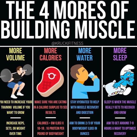 Muscle Building Tips, Weight Training Workouts, Building Muscle, Workout Chart, Muscle Training, Fitness Challenge, More Water, Muscle Building, Muscle Recovery