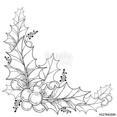 Outline Leaves, Christmas Ornament Coloring Page, Holly Branch, 자수 디자인, Christmas Drawing, Christmas Coloring Pages, Christmas Embroidery, Christmas Holly, Christmas Illustration