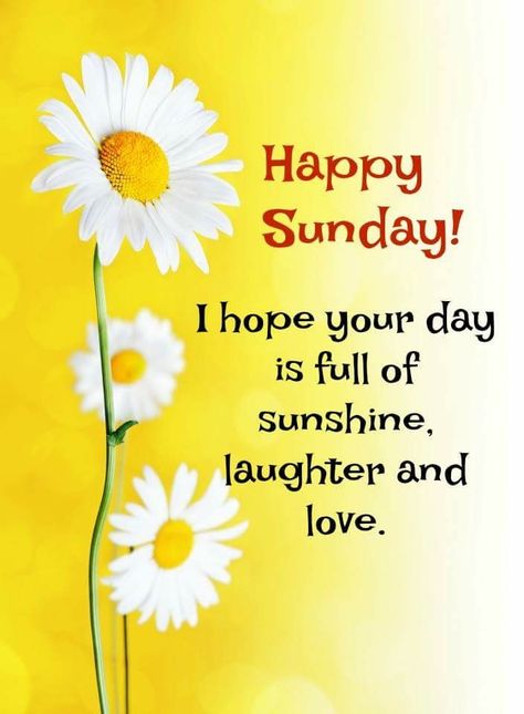 Wishing Quotes, Quotes Sunday, Good Morning Sunday Images, Happy Sunday Morning, Sunday Morning Quotes, Sunday Greetings, Sunday Wishes, Happy Weekend Quotes, Good Morning Happy Sunday