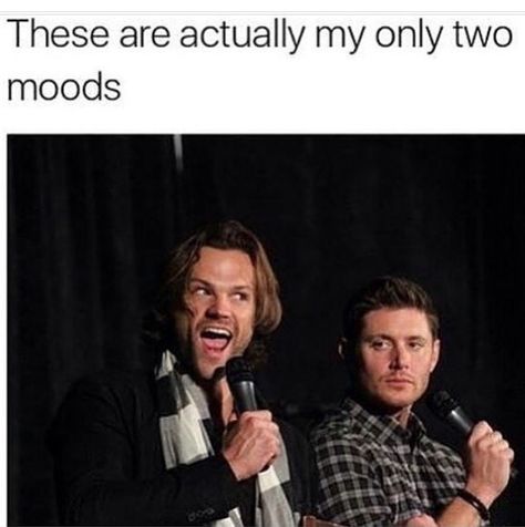 Supernatural Pfp, Supernatural Jokes, Memes Funny Hilarious, Supernatural Bloopers, Spn Memes, Supernatural Actors, Supernatural Pictures, Supernatural Dean Winchester, Sam Dean