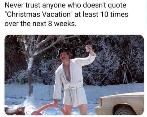 The Funniest Quotes From National Lampoon’s Christmas Vacation Christmas Vacation Meme, Vacation Quotes Funny, Christmas Vacation Movie Quotes, Vacation Meme, Christmas Vacation Party, Christmas Vacation Quotes, Funny Christmas Movies, Christmas Vacation Movie, Never Trust Anyone