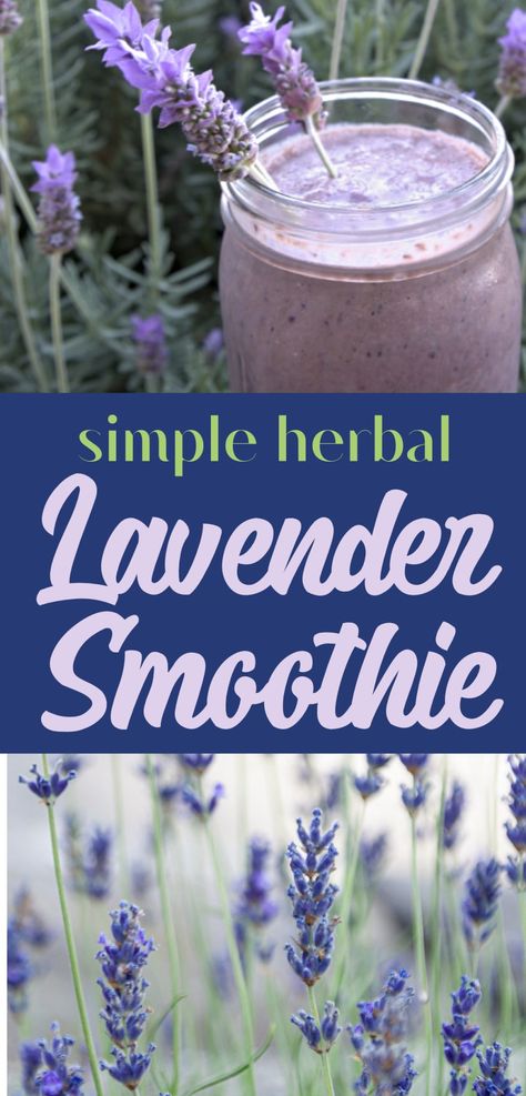 Lavender Healthy Smoothie - Golden Thyme Homestead Lavender Smoothie, Lavender Drink, Easy Healthy Smoothie Recipes, Blackberry Smoothie, Easy Healthy Smoothies, Herb Recipes, Yummy Smoothie Recipes, Fruity Drinks, Blender Recipes