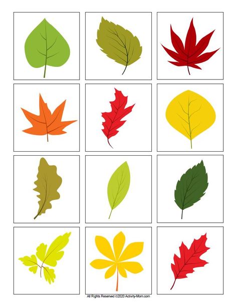 The Activity Mom - Leaf Color Matching (printable) - The Activity Mom Leaf Matching Free Printable, Leaf Patterns Printable, Color Sorting Printable, Fall Leaves Pictures, Leaf Printables, Leaf Printable, Printable Leaves, Leaves Printable, Sorting Colors