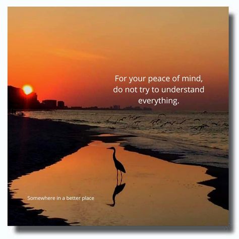 For your peace of mind, do not try to understand everything. For Your Peace Of Mind Do Not Try, Mind Images, Peace Of Mind Quotes, Peaceful Mind Peaceful Life, Mind Thoughts, My Peace, Story Quotes, Poetry Inspiration, Random Quotes