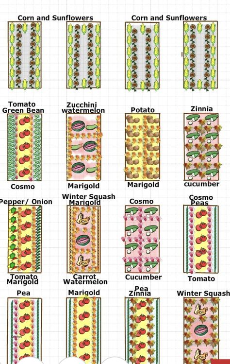 Garden Companion Planting, Vegetable Garden Planner, Garden Layout Vegetable, Vegetable Garden Planning, Vegetable Garden Diy, Garden Planner, Garden Plans, Starting A Garden, Square Foot Gardening