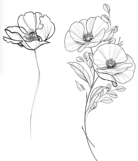 Poppy Drawings Simple, Poppy Tattoo Sketch, Poppy Flower Tattoo Stencil, Poppy Outline Drawing, Poppy Plant Tattoo, Poppies Flower Tattoo, Icelandic Poppy Tattoo, Poppy Tattoo With Name, Poppy Line Tattoo