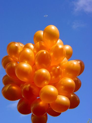 Blow Bubbles, Orange Bubbles, Orange Balloons, Spring Wedding Flowers, Orange You Glad, Colorful Roses, Orange Aesthetic, Orange Crush, Orange Is The New