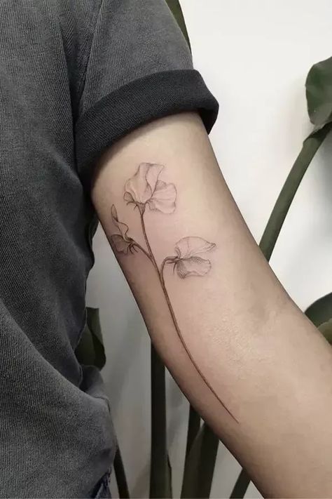 Sweet Pea Tattoos: Symbolism, Meanings & More | #tattoo #tattoos #sketch Sweet Pea Spine Tattoo, Daisy Sweet Pea Tattoo, Tattoo Sweet Pea, Sweet Pea Flowers Tattoo, Sweet Pea Tattoo Design, Sweetpea Tattoo, Sweetpea Flower Tattoo, Sweat Pea Tattoo, Grandparent Tattoo