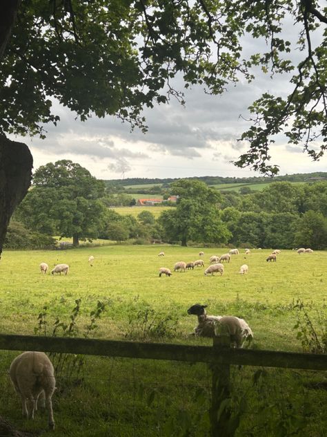 Pretty Countryside Aesthetic, English Cottagecore Aesthetic, English Countryside Aesthetic Summer, French Farm Aesthetic, British Countryside Bedroom, English Spring Aesthetic, English Countryside Spring, Irish Cottage Aesthetic, Ireland Countryside Aesthetic