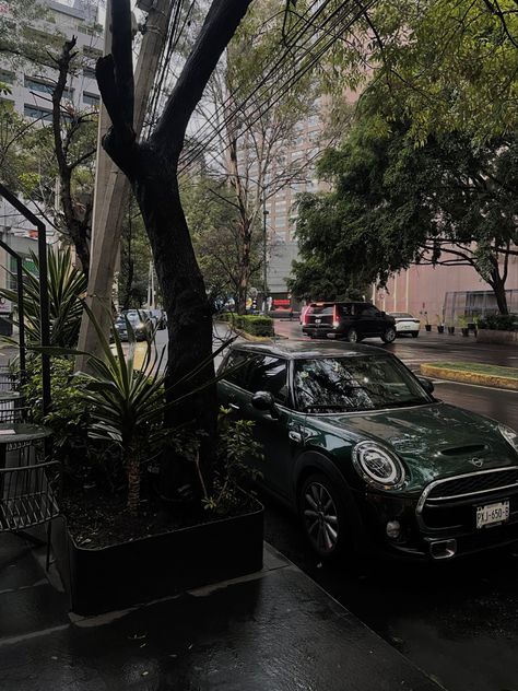 Green Mini Cooper Aesthetic, Mini Cooper Green, Mini Cooper Aesthetic, Dark Green Car, Mira Core, Green Mini Cooper, Old Mini Cooper, Mini Cooper Wallpaper, Mini Cooper Interior