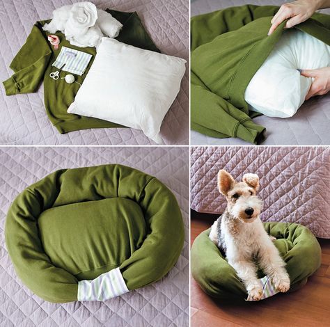 Make A Dog Bed, Diy Pet Bed, Old Sweatshirt, Diy Sweater, Diy Dog Bed, Fabulous Diy, Diy Couch, Diy Sweatshirt, Old Sweater