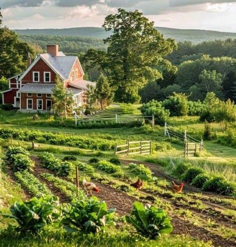 Farmette Aesthetic, Cozy Farm Aesthetic, Fantasy Farm Aesthetic, Home In The Countryside, Farm Outdoor Ideas, Farming Aesthetic Country Living, Agricultural Aesthetic, Simple Farm Life, House On A Farm