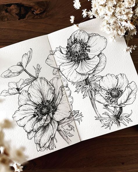 Anemones by Hiro Flower Pen Drawing, Drawings Of Flowers, Pen Art Work, Flower Drawings, Flower Art Drawing, Drawing Sketching, Floral Drawing, Plant Drawing, Ink Sketch