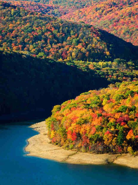 Allegheny National Forest Drive Across America, Allegheny National Forest, Pennsylvania Travel, States In America, Outdoor Life, Pretty Places, Fall Foliage, National Forest, Landscape Photos