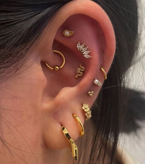 Amy on Instagram: "Fresh contraconch with 14k small crown Marquise ✨✨" Contraconch Piercings, Ear Stacks, Small Crown, Ear Stack, Conch Piercing, Ear Candy, Piercing Tattoo, Conch, Jewelry Ideas