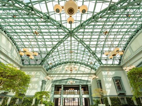 Chicago Drinks, Harold Washington Library, Hidden Bars, Chicago Cultural Center, Library Center, Things To Do In Chicago, Luxury Lifestyle Aesthetic, Public Libraries, Underground Art