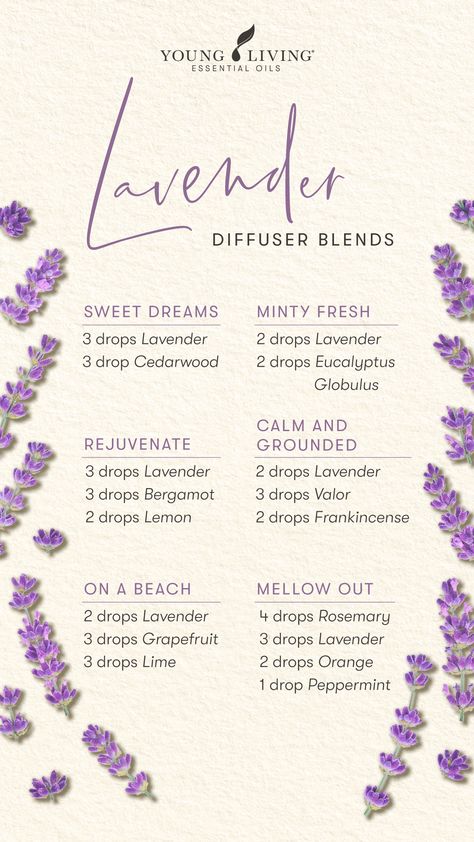 Take some time to yourself today and make your home smell fresh with these Lavender essential oil diffuser blends! Sweet Dreams (Lavender, Cedarwood), Minty Fresh (Lavender, Eucalyptus Globulus), Rejuvenate (Lavender, Bergamot, Lemon), Calm and Grounded (Lavender, Valor, Frankincense), On a Beach (Lavender, Grapefruit, Lime), and Mellow Out (Rosemary, Lavender, Orange, Peppermint). #spring #seasonal #cleanhome #ylathome #diffuserblend #essentialoils #aromatherapy #yleo #youngliving Essential Oil Candle Blends, Young Living Essential Oil Diffuser, Lavender Diffuser, Diffuser Blends Young Living, Essential Oil Perfumes Recipes, Essential Oil Combinations, Doterra Essential Oils Recipes, Calming Essential Oils, Essential Oil Diffuser Blends Recipes