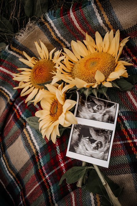 Sunflowers Maternity Photoshoot, Sunflower Field Baby Announcement, Sun Flower Maternity Shoot, Sunflower Photoshoot Maternity, Sunflower Pregnancy Photoshoot, Flower Field Pregnancy Announcement, Maternity Shoot Sunflower Field, Sunflower Field Pregnancy Announcement, Sunflower Baby Announcement