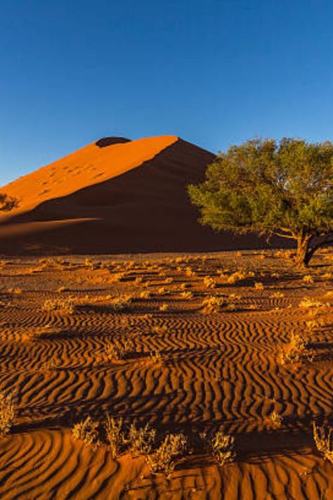 Kgalagadi Transfrontier Park is a large wildlife preserve and conservation region in southern Africa . The recreation center rides the line between South Africa and Botswana and comprises two abutting national parks: • Kalahari Gemsbok National Park in South Africa • Gemsbok National Park in Botswana Kgalagadi Transfrontier Park, Centered Riding, Recreation Centers, Southern Africa, Zambia, Botswana, Travel Around The World, South Africa, Travel Around