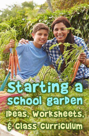 Planning a school garden and resources to incorporate it into your classroom curriculum. School Garden Ideas, School Garden Club, School Greenhouse, Start A Garden, Preschool Garden, Farm School, School Lesson Plans, Garden Activities, Nature School