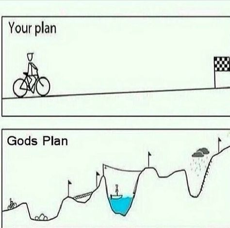 Your plan vs. God's plan Phd Quote, Future Psychologist, Phd Comics, Phd Humor, Phd Life, Phd Graduation, Phd Student, Essay Writer, Gods Plan