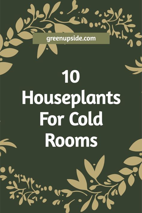 When winter starts to get to you, houseplants can help to brighten things up. Some houseplants can survive cold temperatures if you keep the thermostat low. In this article, we’ll look at 10 cold tolerant houseplants. We’ll also talk about their proper care in terms of water, light, and other important factors. Cold Tolerant House Plants, Cold Weather Plants, Indoor Forest, Mugo Pine, Conservatory Plants, Perennial Ground Cover, Drought Tolerant Perennials, Maidenhair Fern, Inside Garden