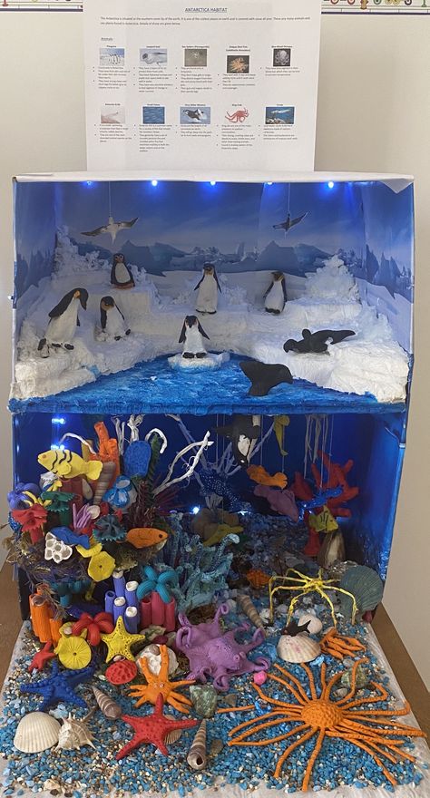 Animal Diarama Ideas, Habitat Projects For Kids, Animal Science Projects, Ecosystems Diorama, Ocean Diorama, Aquarium Craft, School Exhibition, Art Competition Ideas, Habitats Projects