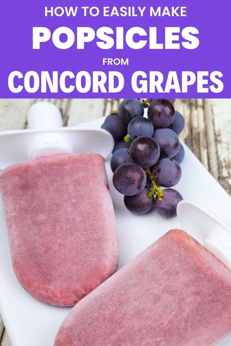 How to Make Popsicles from Concord Grapes Infographic. Grape Popsicles Recipe, Concord Grape Recipes, Grape Popsicles, Popcicles Recipes, Grape Jam Recipe, Juice Popsicles, Make Popsicles, Grape Ice Cream, Concord Grapes