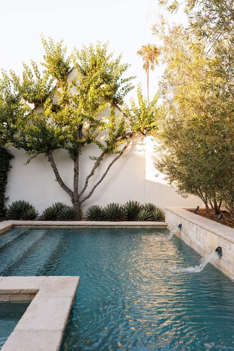 226 S. Citrus Avenue — Jenna Cooper | LA Pool Landscape Design, Modern Pools, Pool Time, Spanish Style, Pool Landscaping, Backyard Oasis, Pool Area, Pool Designs, Backyard Design