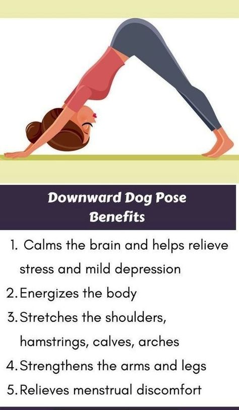 Downward Dog Yoga Pose, Downward Dog Yoga, Downward Dog Pose, Poses For Beginners, Benefits Of Yoga, Dog Poses, Dog Yoga, Yoga Iyengar, Relaxing Yoga