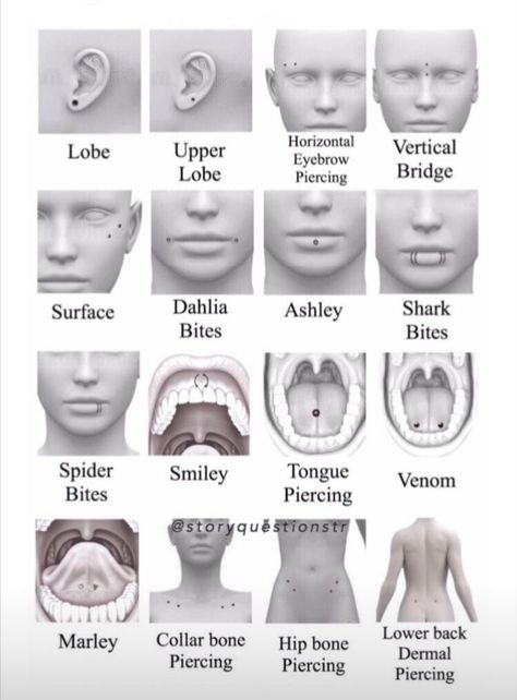 Weird Body Piercings, All Facial Piercings, Nose Chain Piercings, Types Of Body Piercings Chart, Different Piercings Ideas Face, Piercings Inspo Face, Cool Facial Piercings, Piercing Face Ideas, Unique Facial Piercings