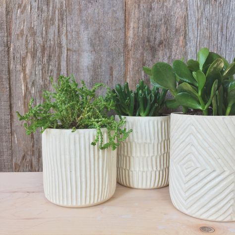 Carved planters / handmade in Austin, TX / Javelina Ranch Macetas Ceramica Ideas, Ceramic Pottery Planters, Pottery Plant Pots, Ideas Ceramica, Ceramica Ideas, Handmade Ceramic Planters, Pottery Pots, Handmade Planter, Princess Diy